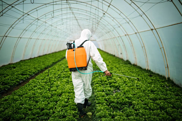 Trusted Rolling Meadows, IL Pest Control Experts
