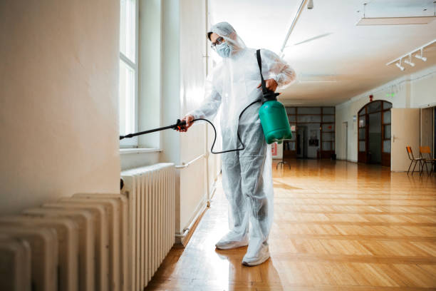 Best Emergency Pest Control  in Rolling Meadows, IL