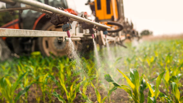 Wildlife Control Services in Rolling Meadows, IL